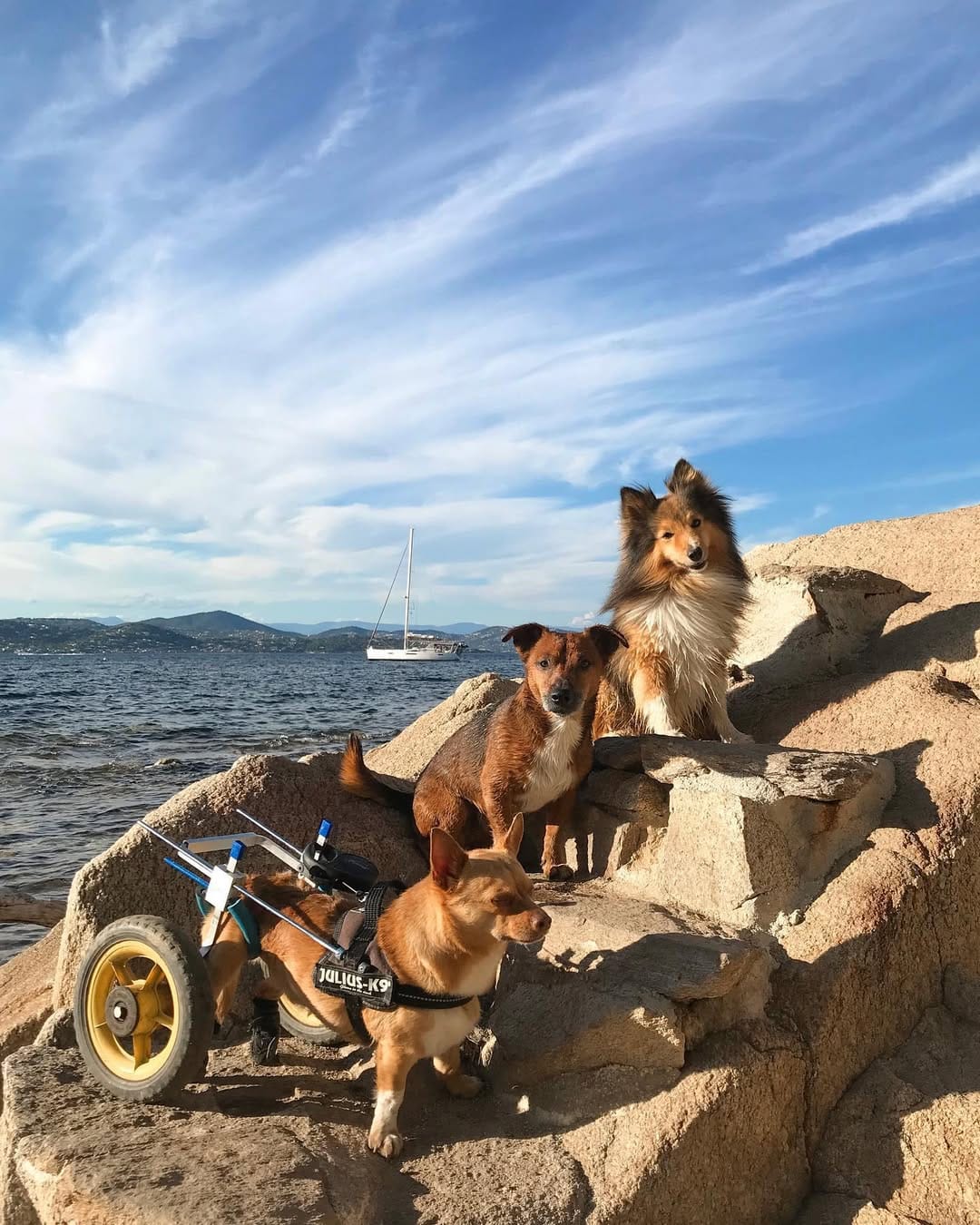 Post 3 by O'Hiss On Wheels on Instagram (image)