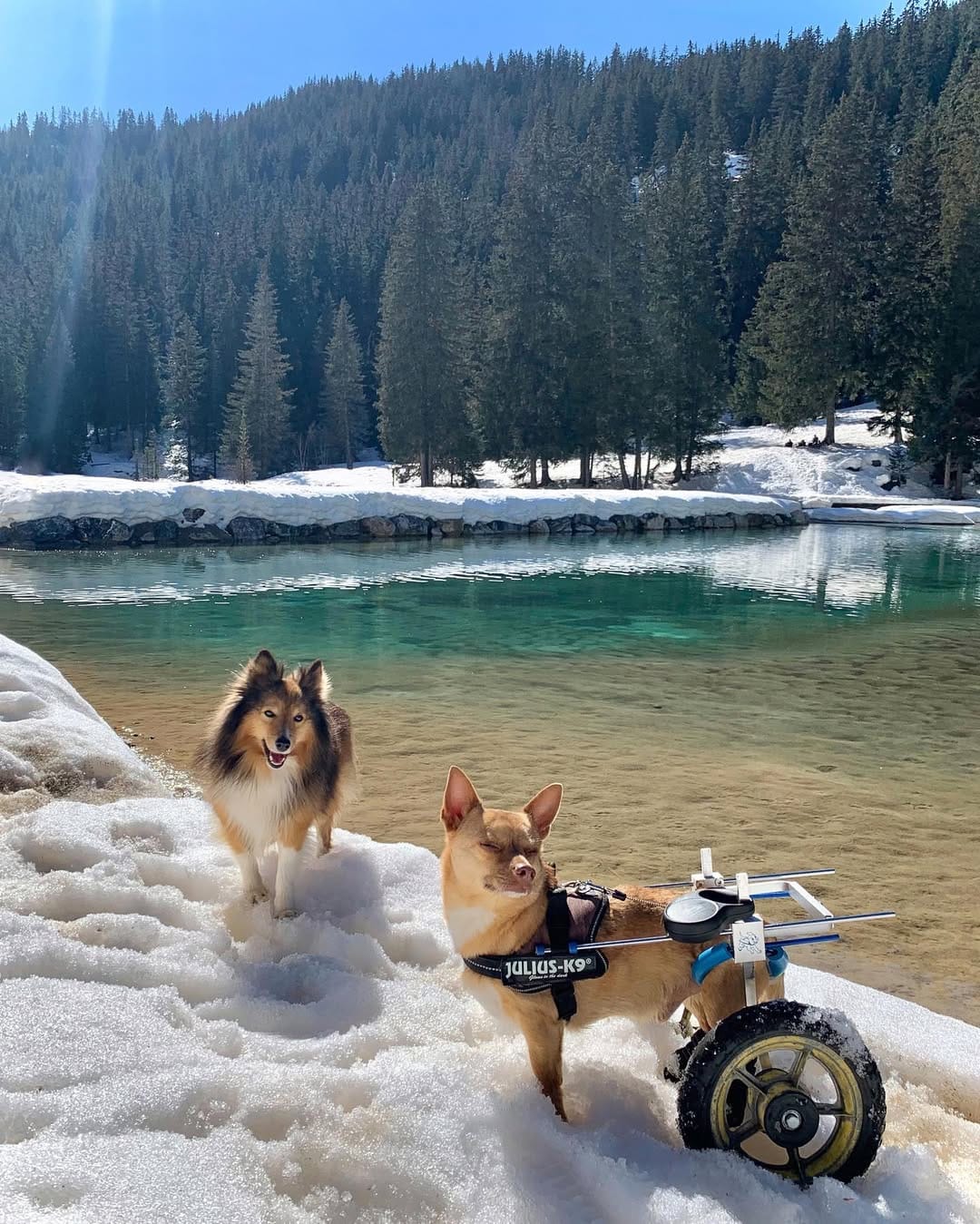 Post 5 by O'Hiss On Wheels on Instagram (image)