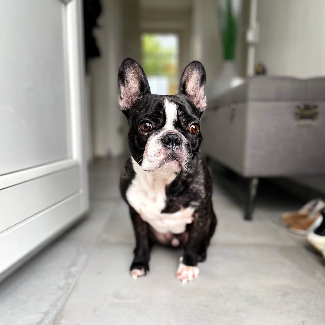 Post 7 by Jax R Nielsen on Instagram (image)