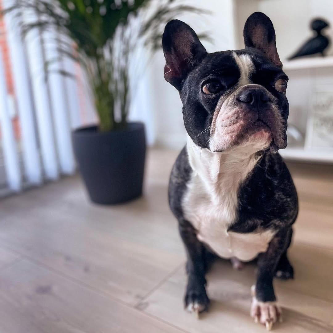 Post 8 by Jax R Nielsen on Instagram (image)