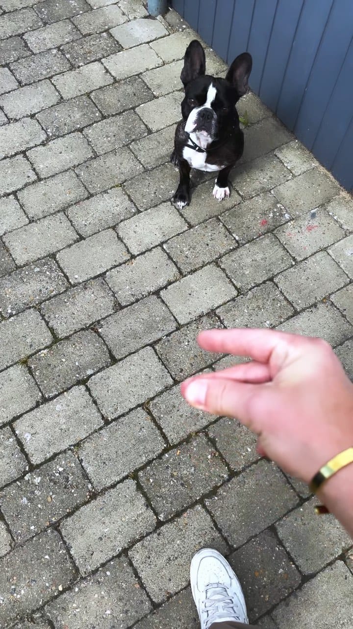 Post 6 by Jax R Nielsen on Instagram (video)