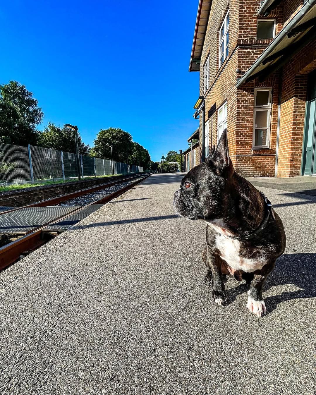 Post 4 by Jax R Nielsen on Instagram (image)