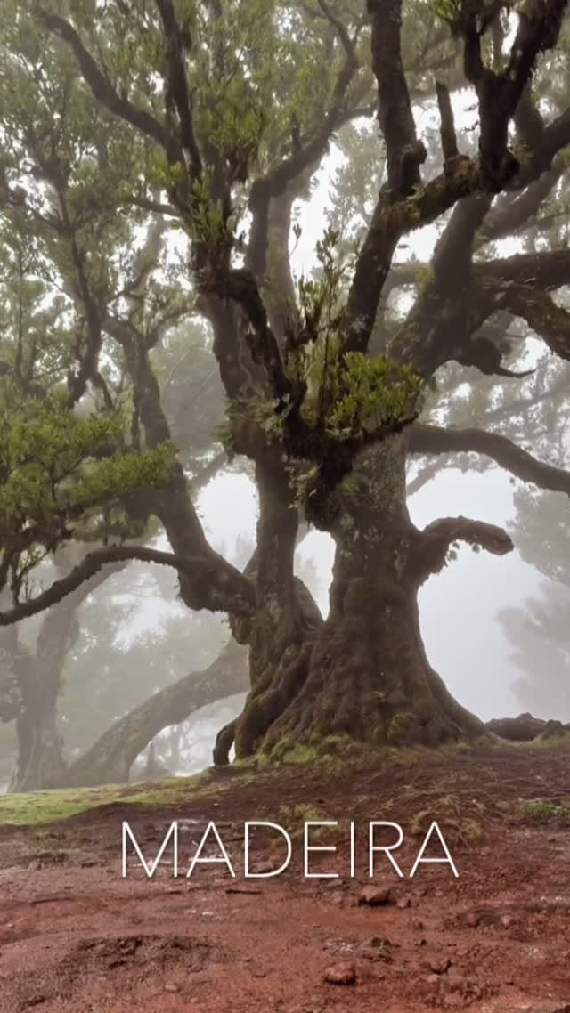 Post 1 by @maksozzik on Instagram (video)