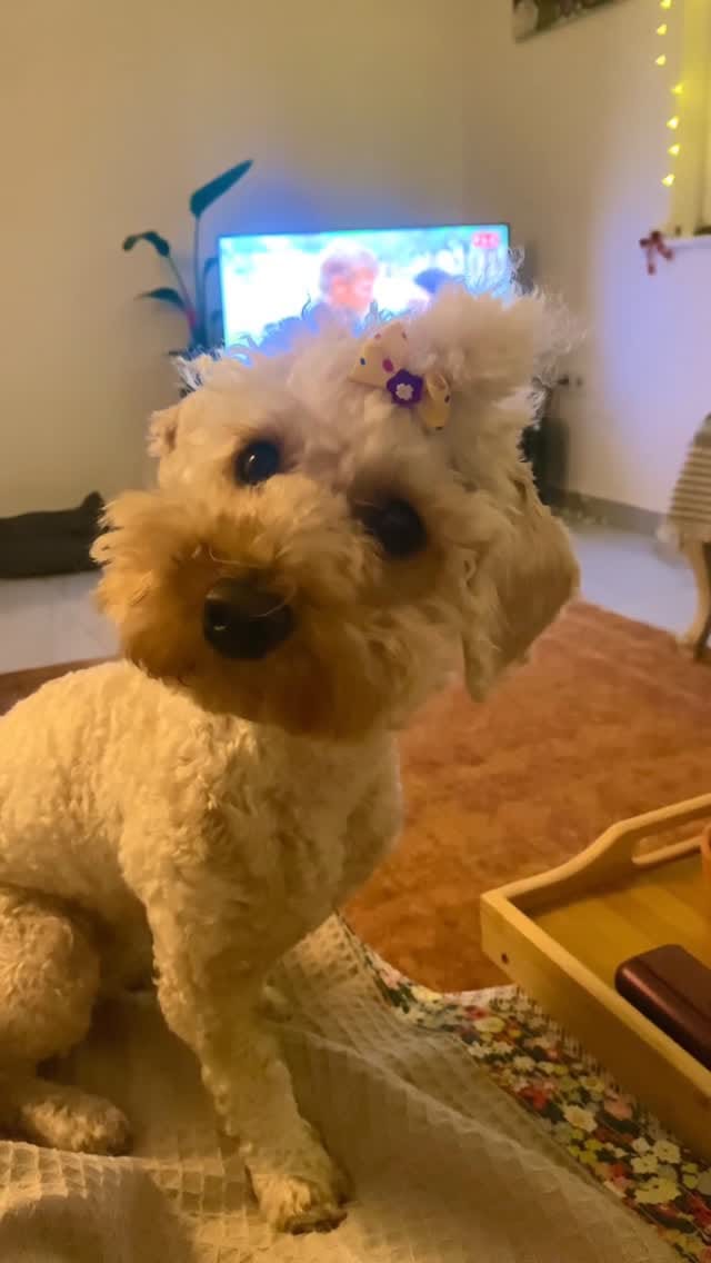 Post 5 by Özgecan Cüce on Instagram (video)