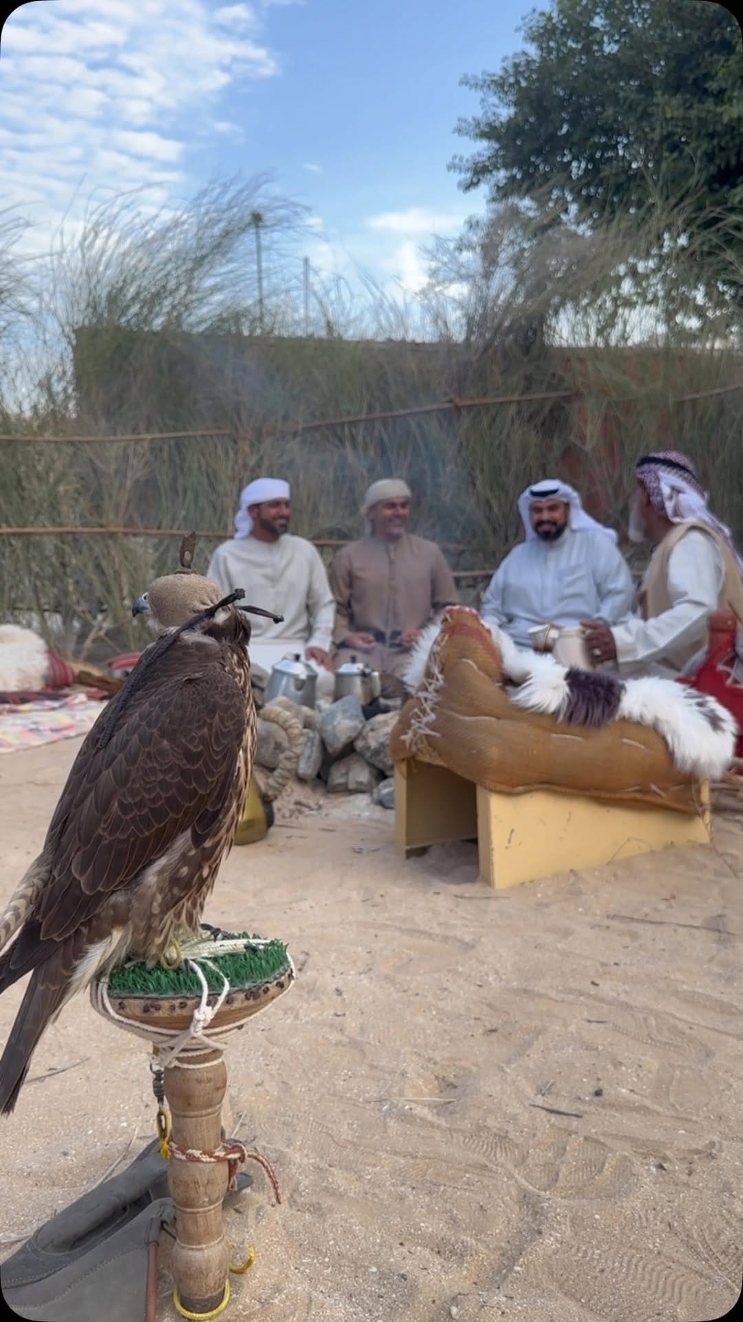 Post 9 by Bu Ghaith on Instagram (video)
