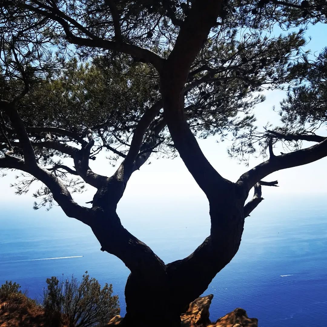 Post 1 by Brigitte Matthießen on Instagram (image)