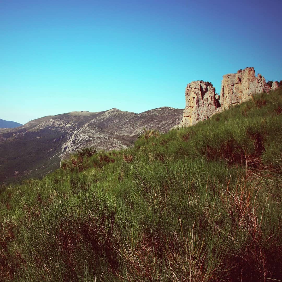 Post 4 by Brigitte Matthießen on Instagram (image)