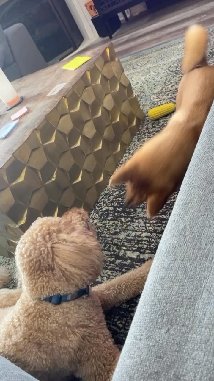 Post 4 by Kyle on Instagram (video)