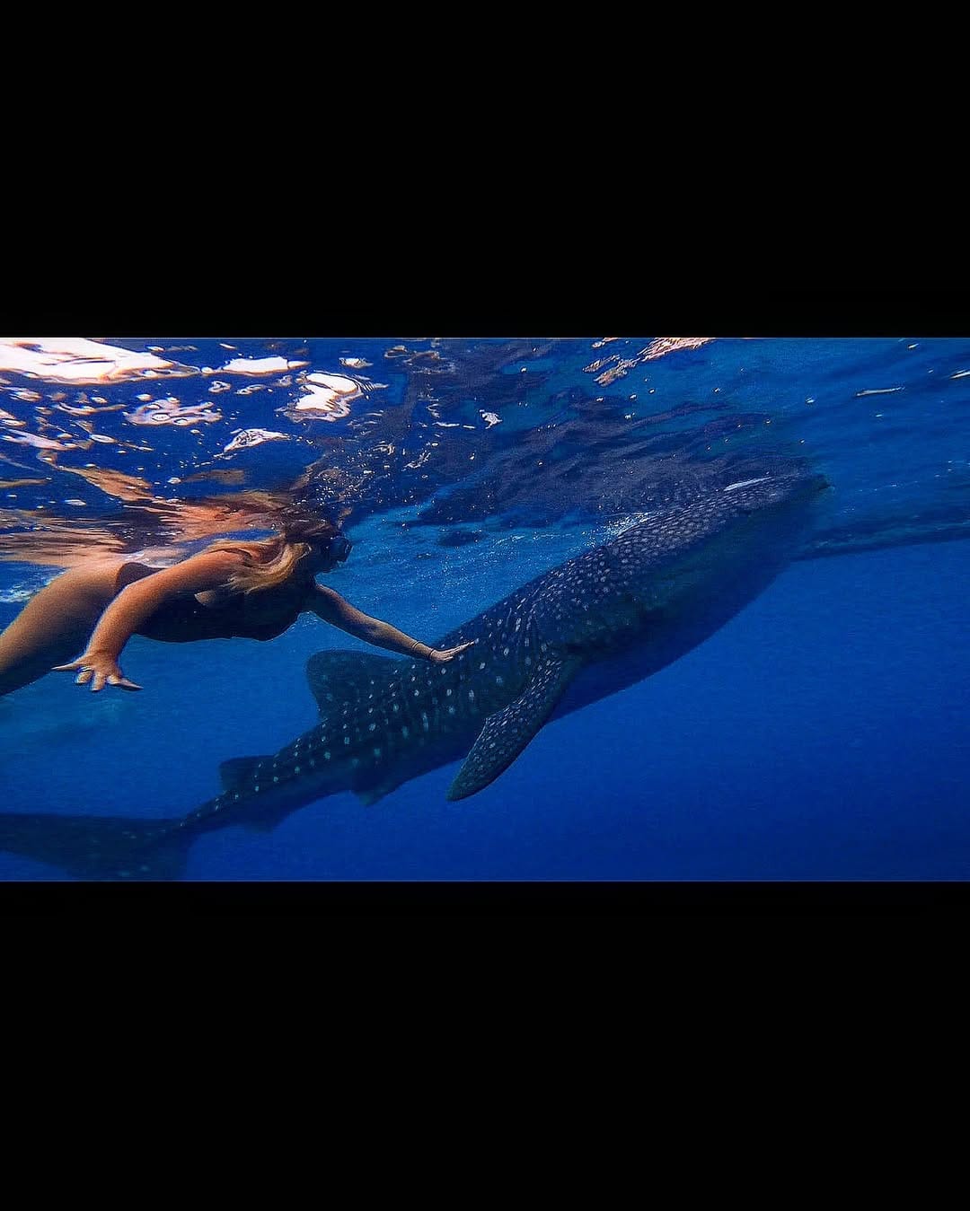 Post 9 by Louise Laulhé on Instagram (image)