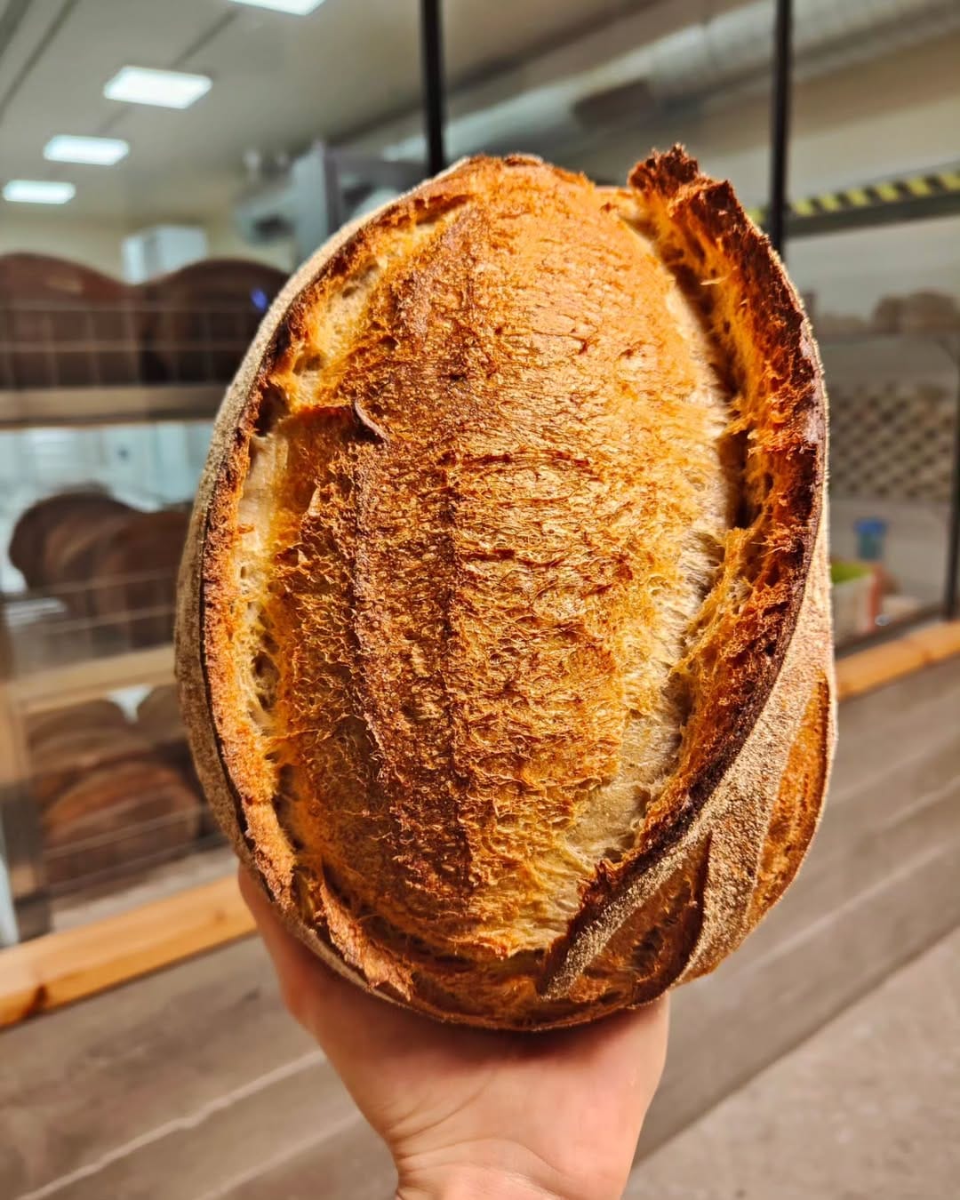 Post 9 by La Bulanxerí on Instagram (image)