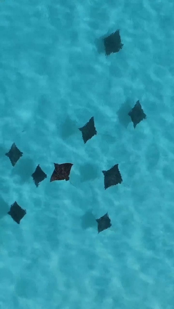 Post 3 by WORLD TRAVEL REELS ✈️ ☀️ on Instagram (video)