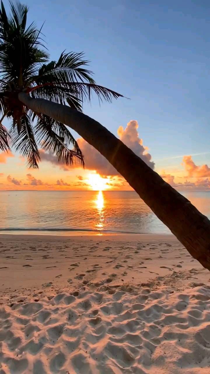 Post 8 by WORLD TRAVEL REELS ✈️ ☀️ on Instagram (video)
