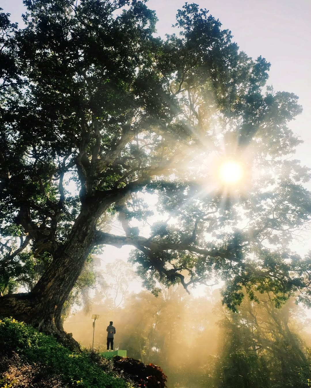 Post 4 by Arjun Krishna D on Instagram (image)