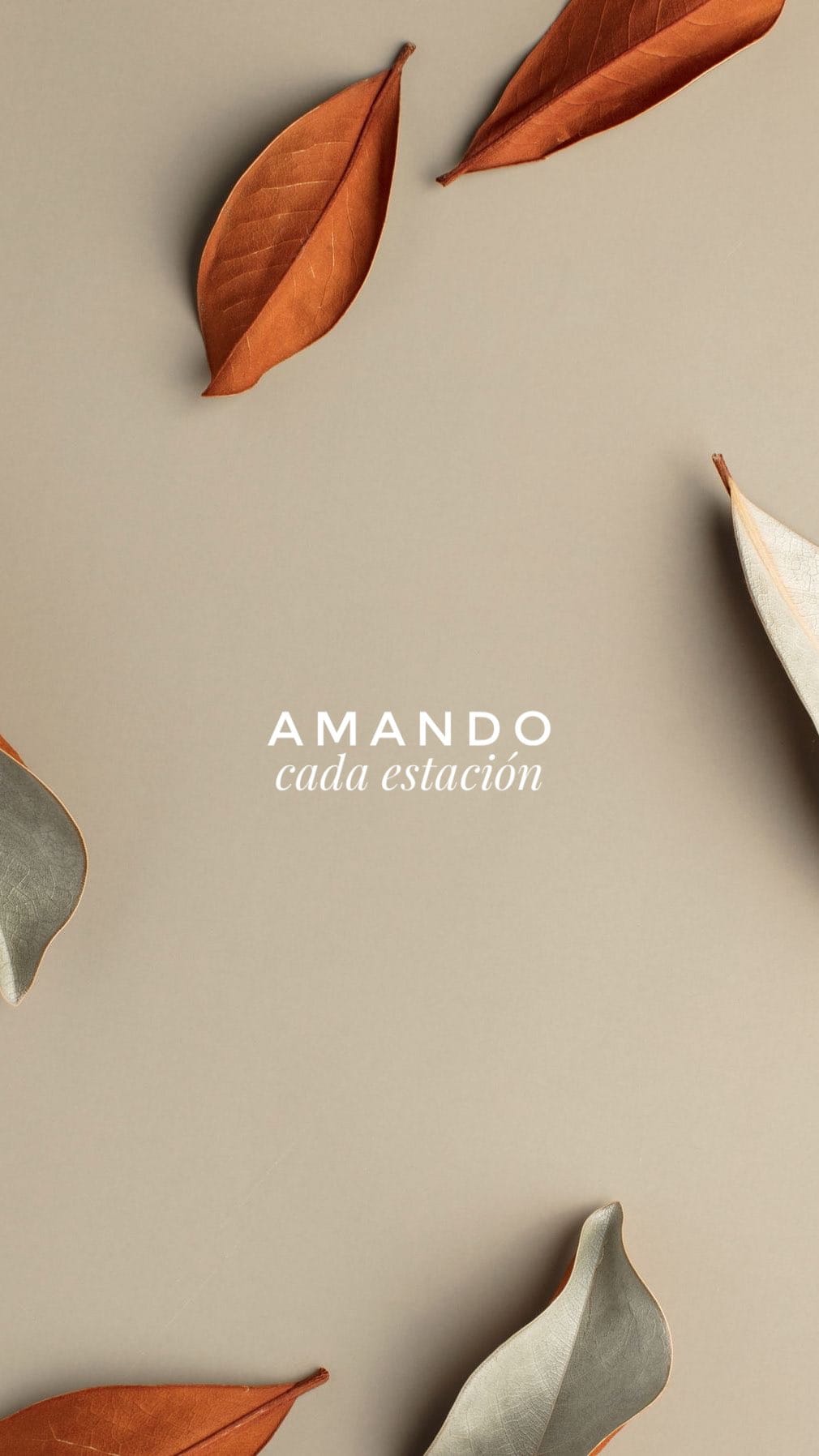 Post 4 by Creacionismo • Paisajismo & Interiorismo Verde on Instagram (video)