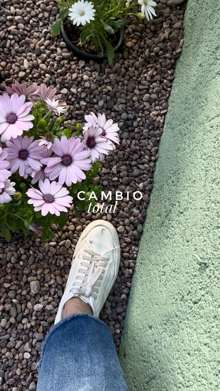 Post 3 by Creacionismo • Paisajismo & Interiorismo Verde on Instagram (video)