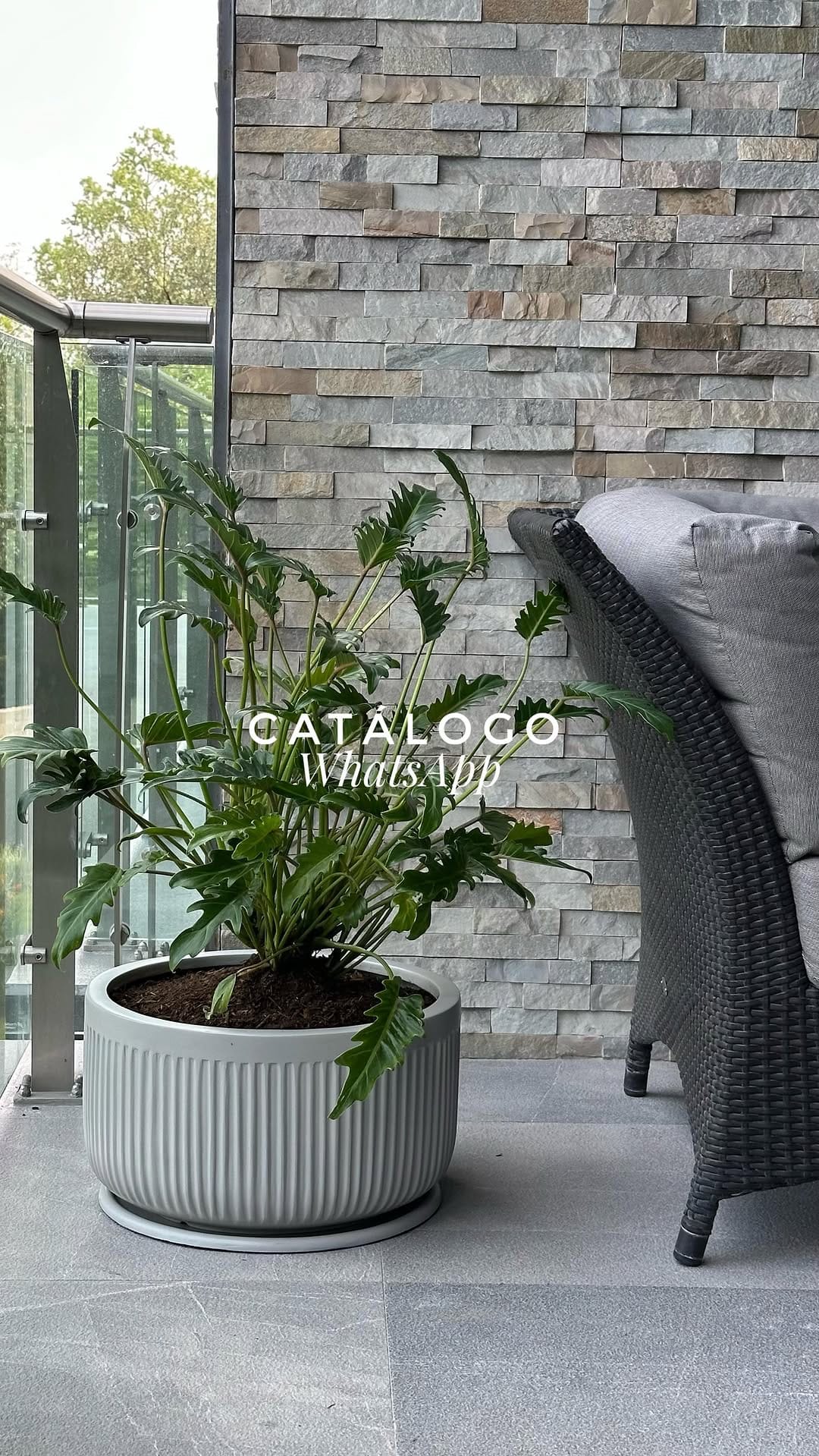 Post 10 by Creacionismo • Paisajismo & Interiorismo Verde on Instagram (video)