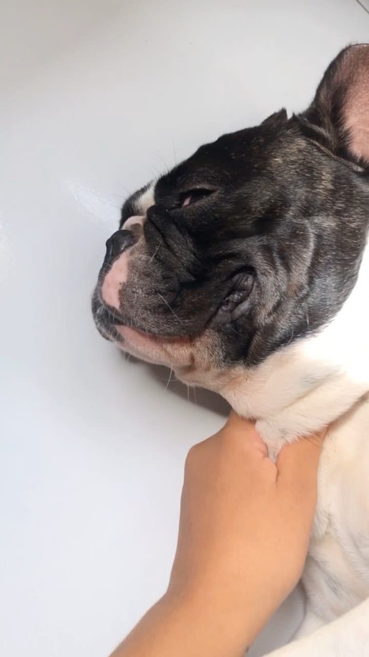 Post 8 by Apolo Junior on Instagram (video)