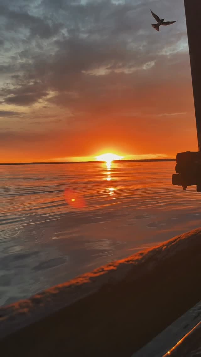 Post 10 by Recanto Carpe Diem on Instagram (video)