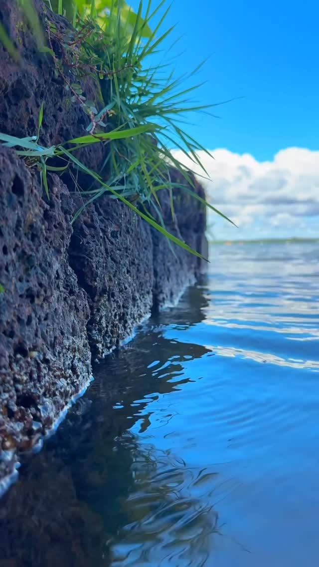Post 9 by Recanto Carpe Diem on Instagram (video)