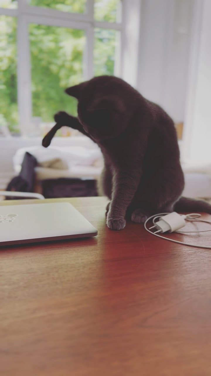 Post 5 by Moli & Tiel on Instagram (video)