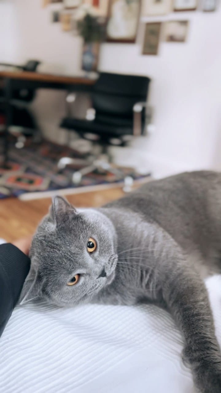 Post 9 by Moli & Tiel on Instagram (video)