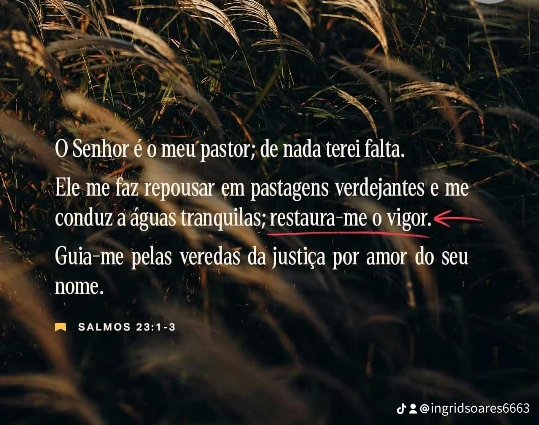 Post 10 by Ingrid Soares on Instagram (image)