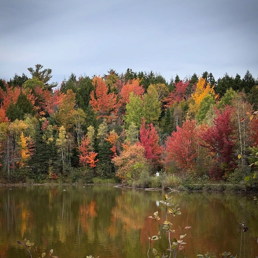 Post 6 by Mandy Savoie on Instagram (image)