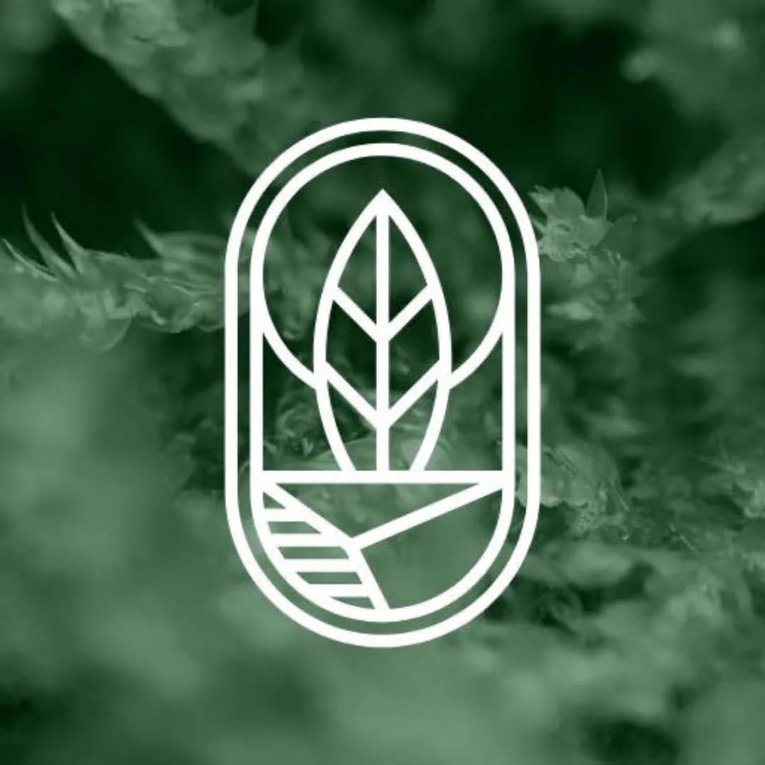 Post 1 by Flos & Luna 🌿🌙 on Instagram (image)