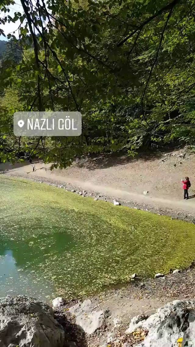 Post 7 by fatmaeyes 🌻🌾 on Instagram (video)