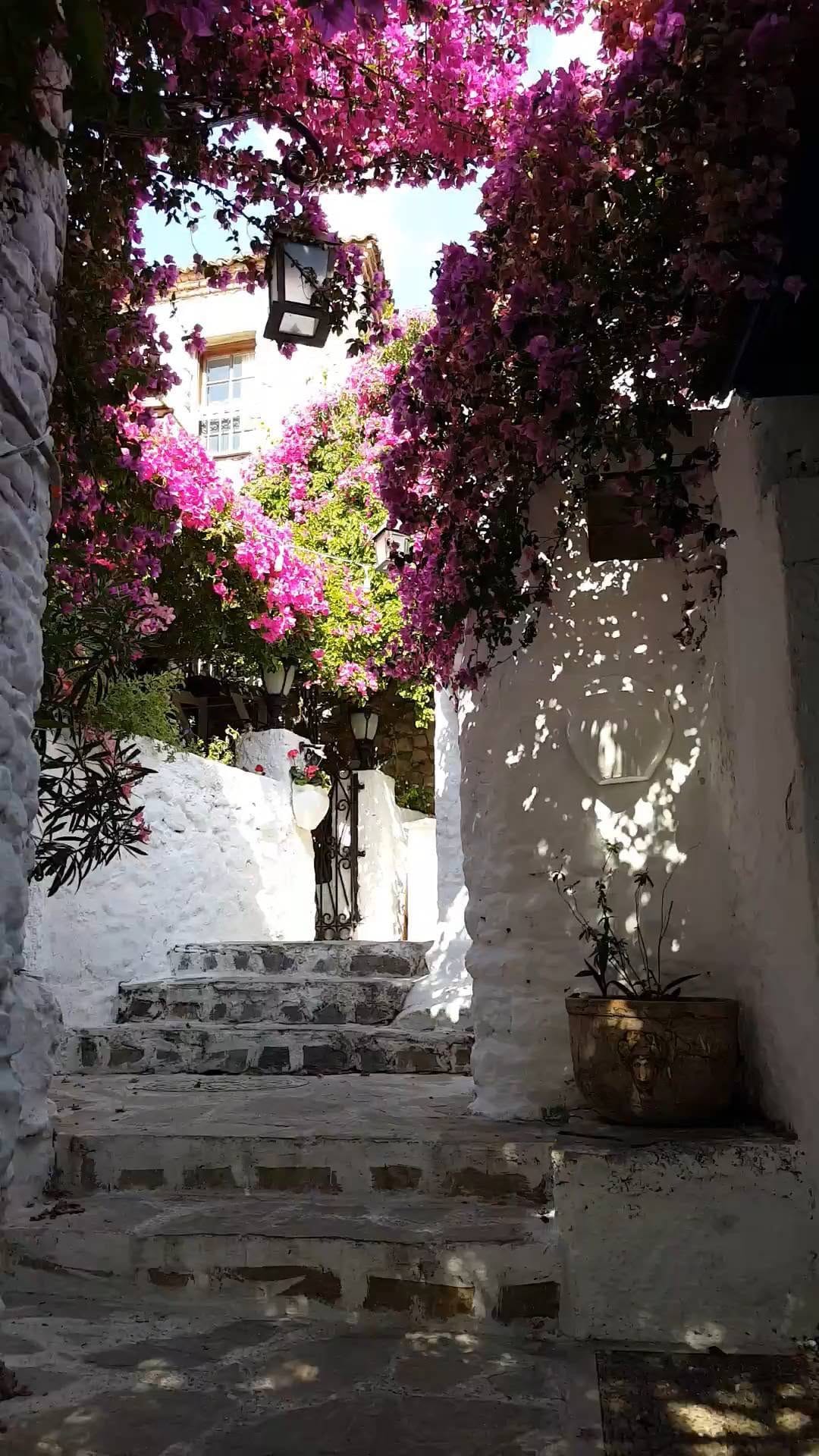 Post 9 by fatmaeyes 🌻🌾 on Instagram (video)