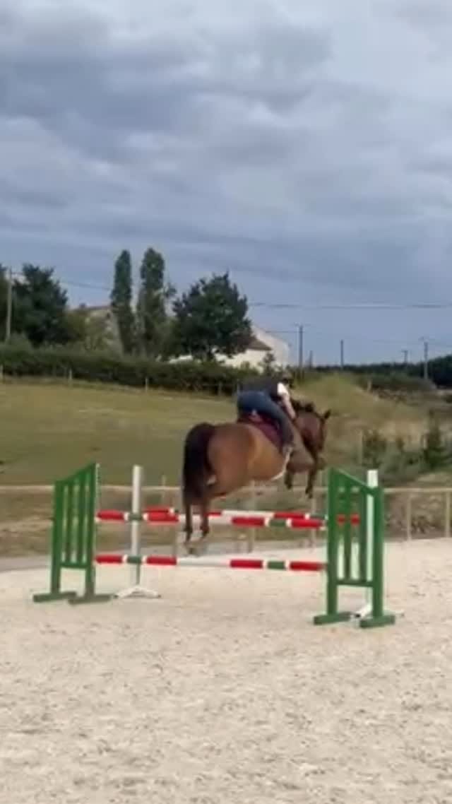 Post 4 by @clemence_ade_ on Instagram (video)
