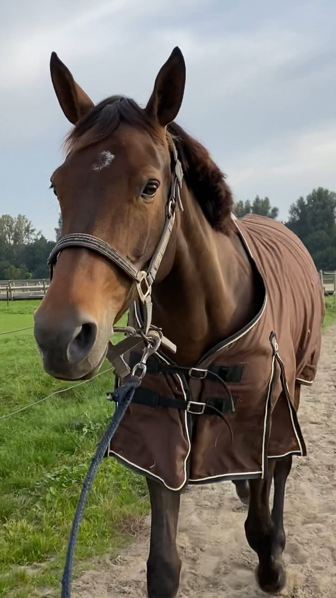 Post 7 by @clemence_ade_ on Instagram (video)