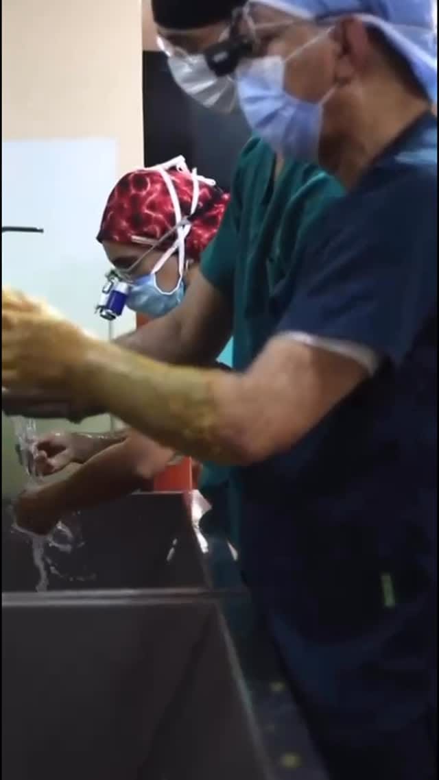 Post 9 by Dr Keith Johnston on Instagram (video)