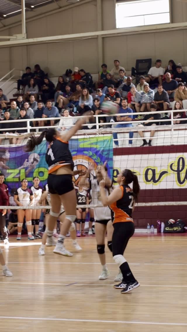 Post 8 by Daianne Alvarez Ramirez on Instagram (video)