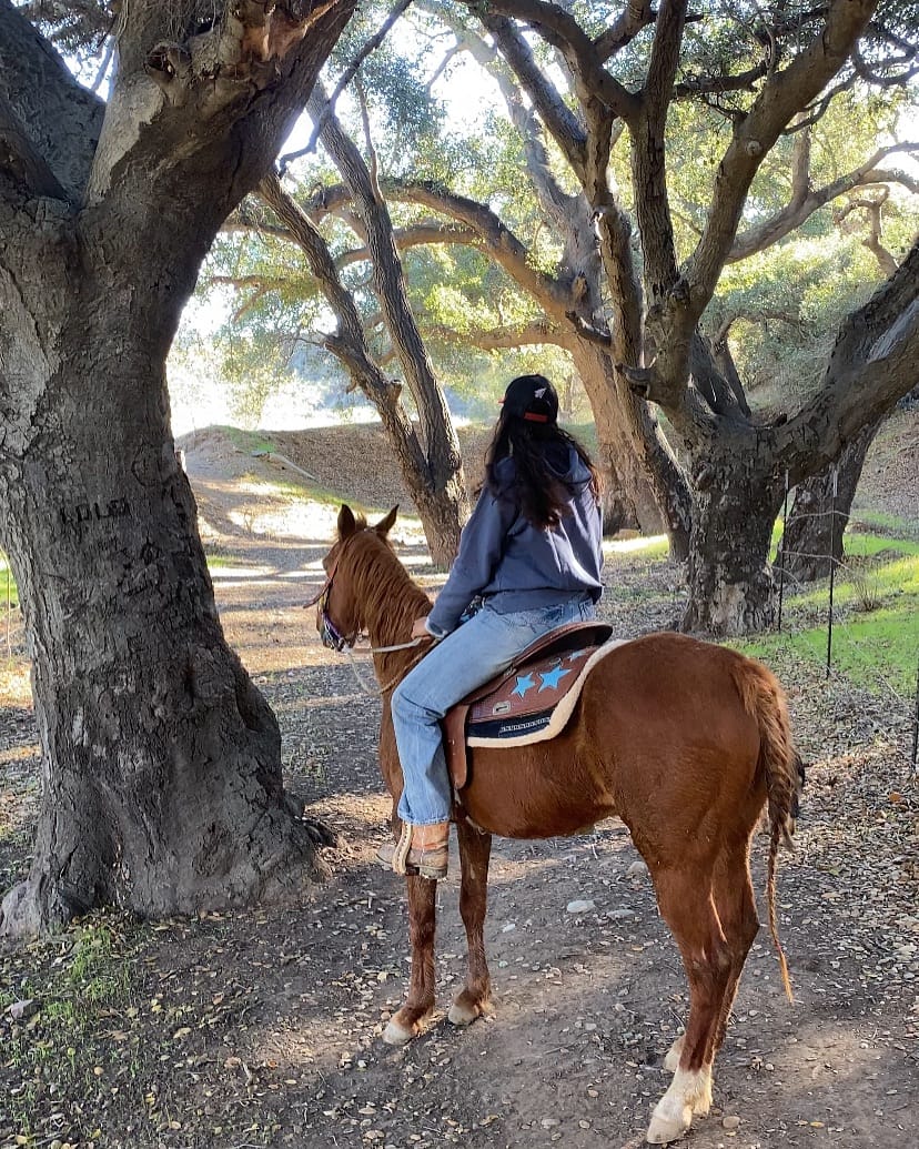 Post 10 by Daianne Alvarez Ramirez on Instagram (carousel)