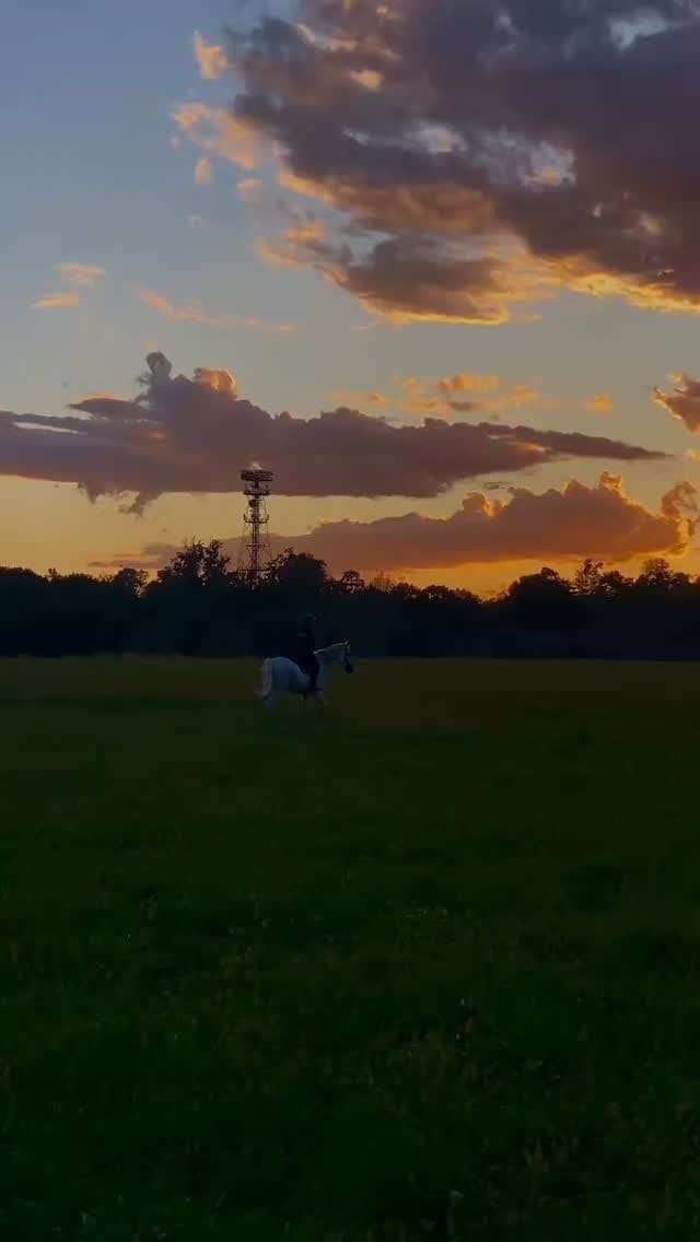 Post 9 by Leonardo Fortina | Rider & Content Creator on Instagram (video)