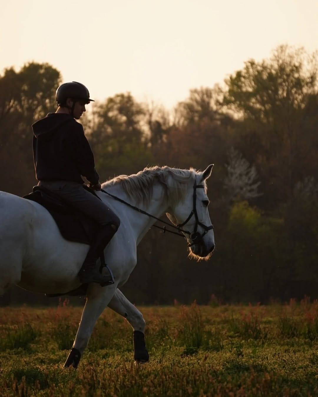 Post 2 by Leonardo Fortina | Rider & Content Creator on Instagram (carousel)