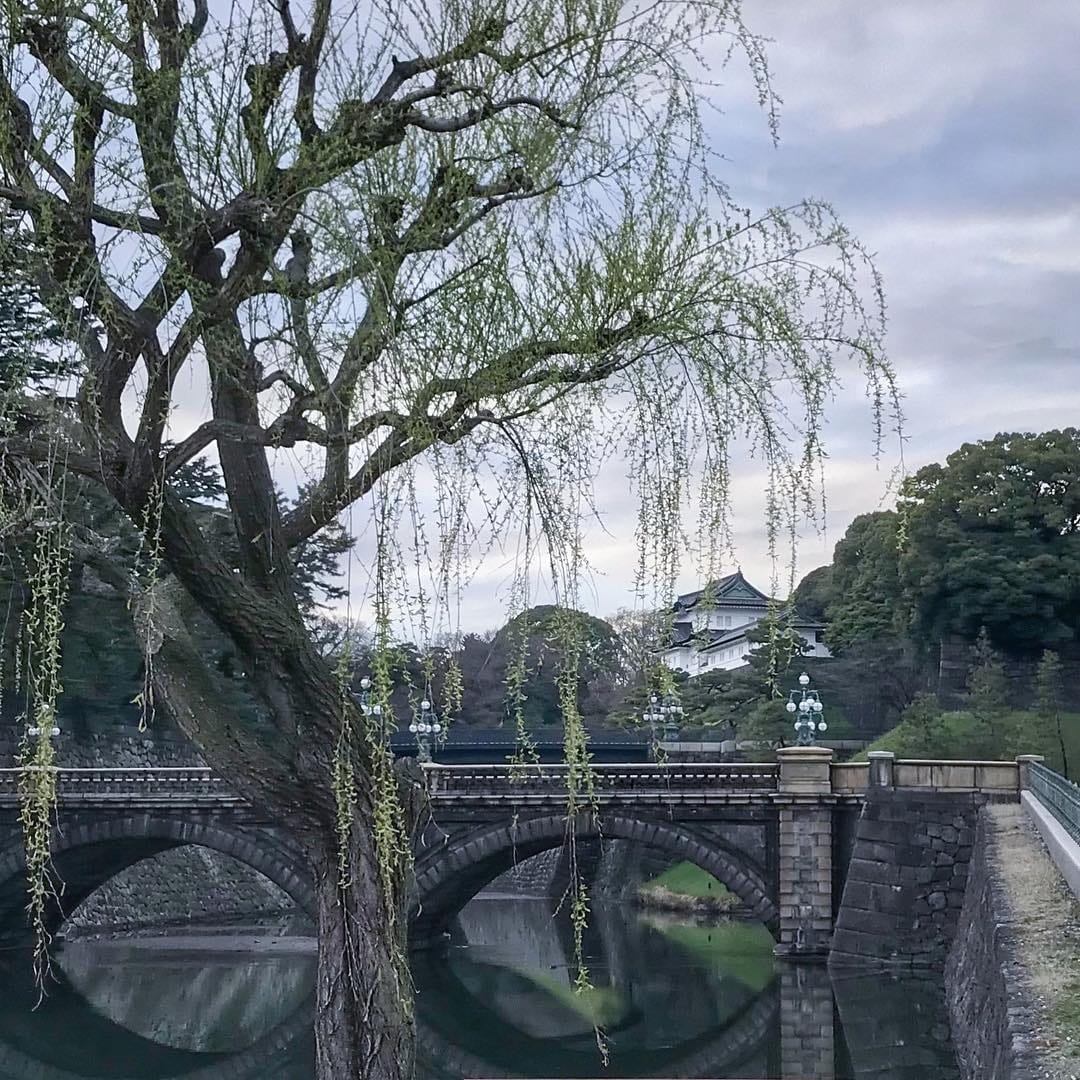 Post 3 by L I S B E T H on Instagram (image)