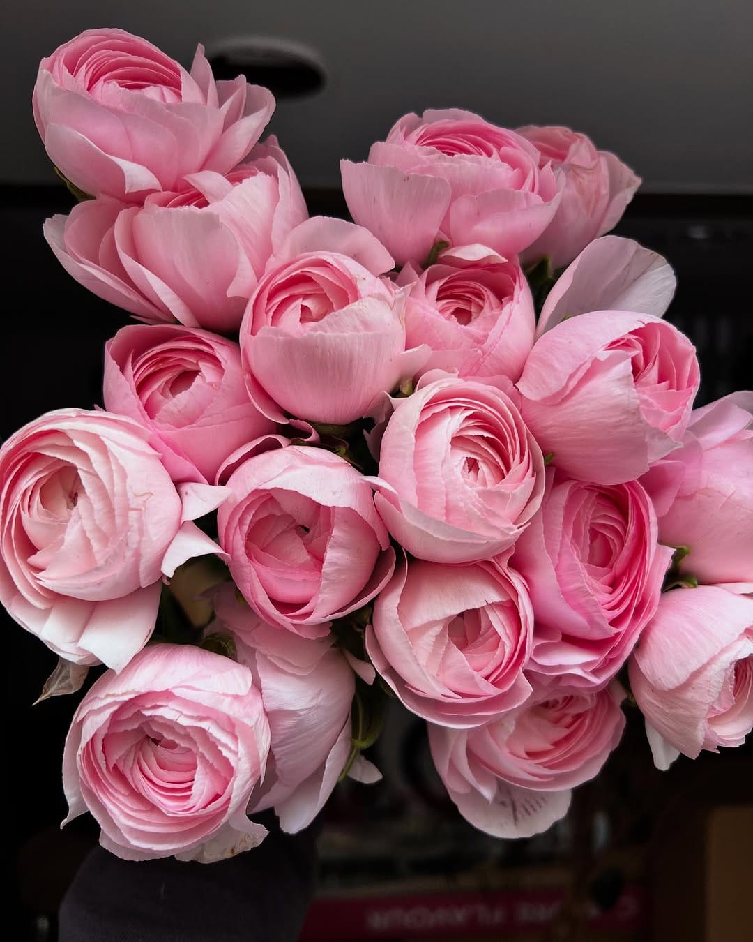 Post 5 by Flores Barcelona / Flower Delivery / Доставка цветов в Барселоне on Instagram (image)