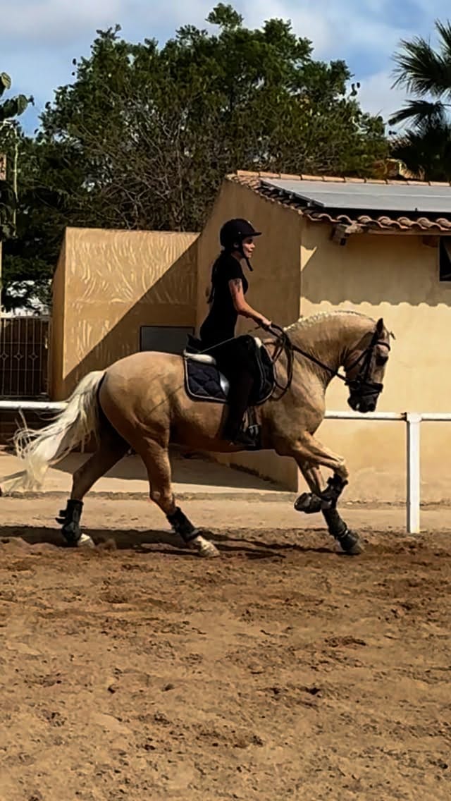 Post 1 by @inesmunozm on Instagram (video)