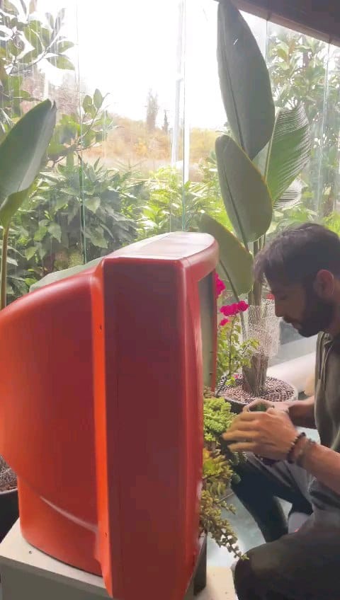 Post 3 by Kaktüsdünyası on Instagram (video)