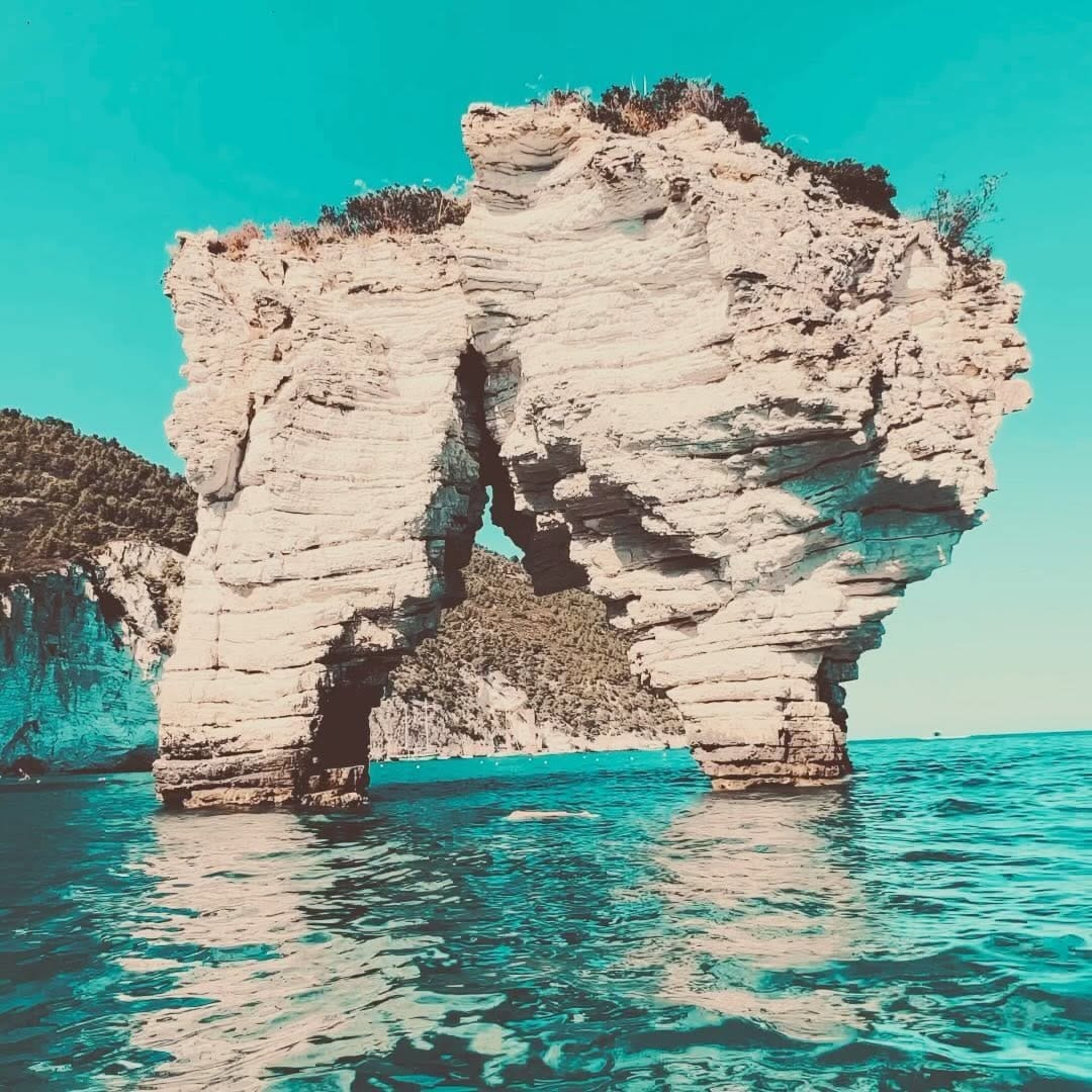Post 10 by costanza ferro♋ on Instagram (video)