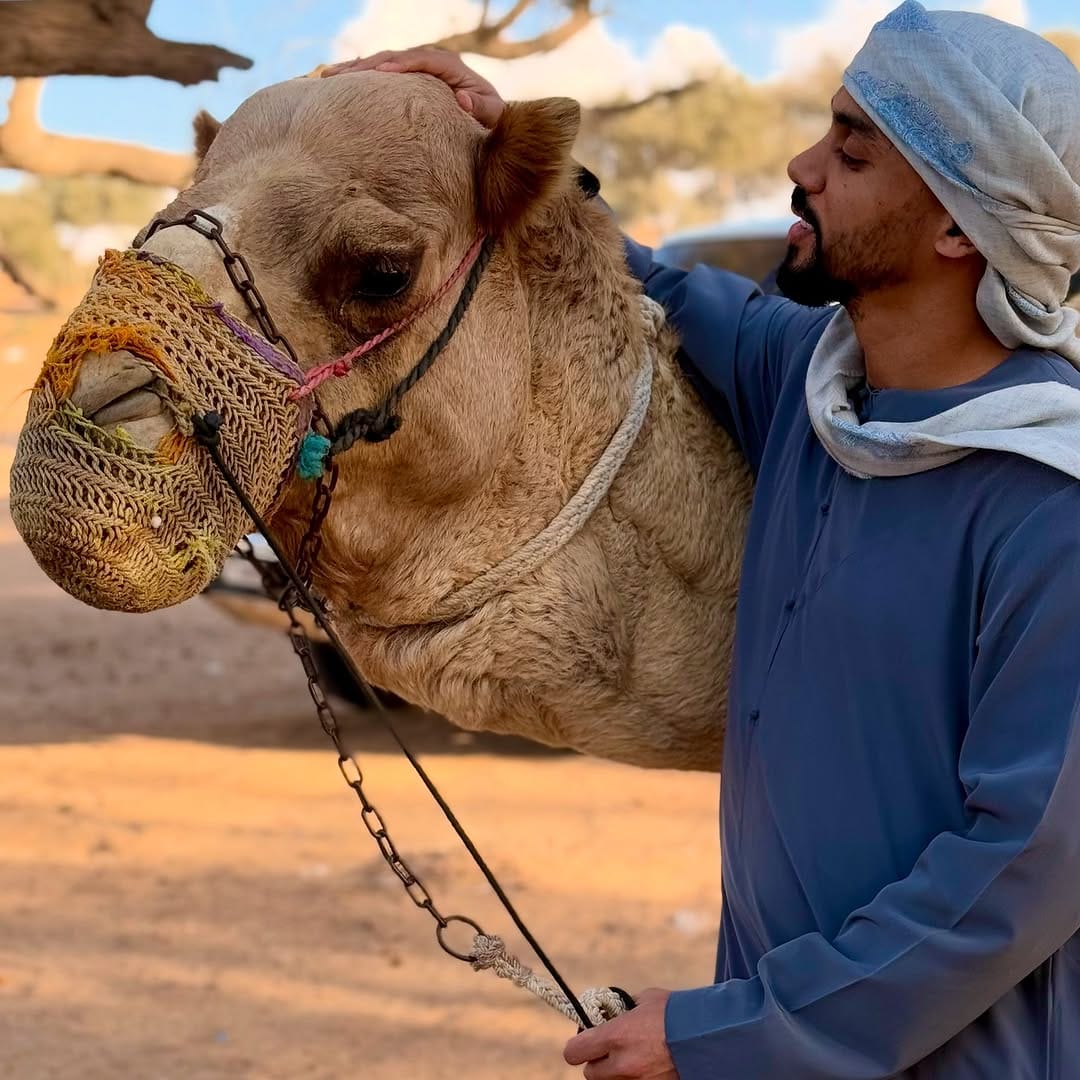 Post 3 by Mohamed Saif on Instagram (carousel)