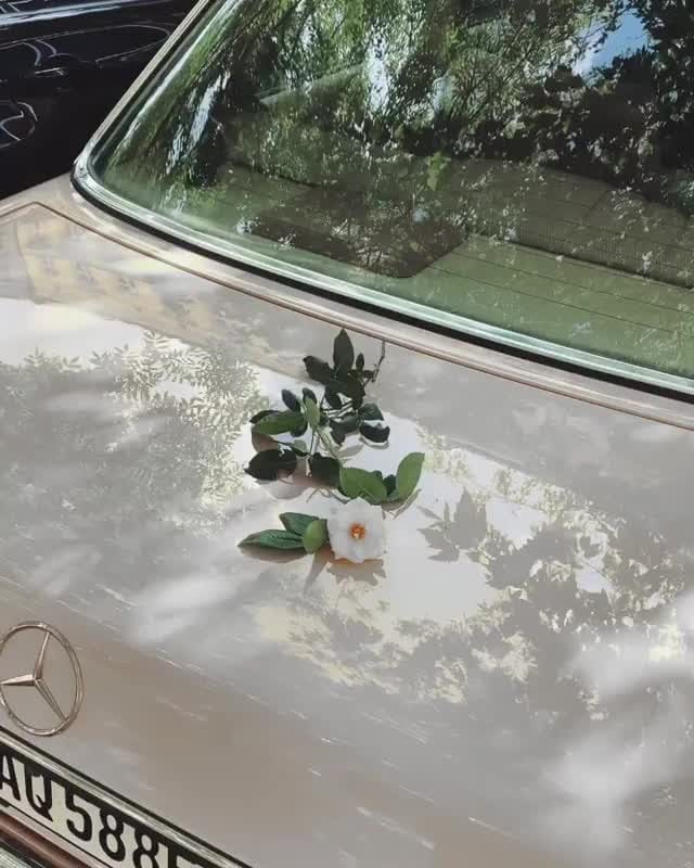 Post 9 by ROZNESS on Instagram (video)