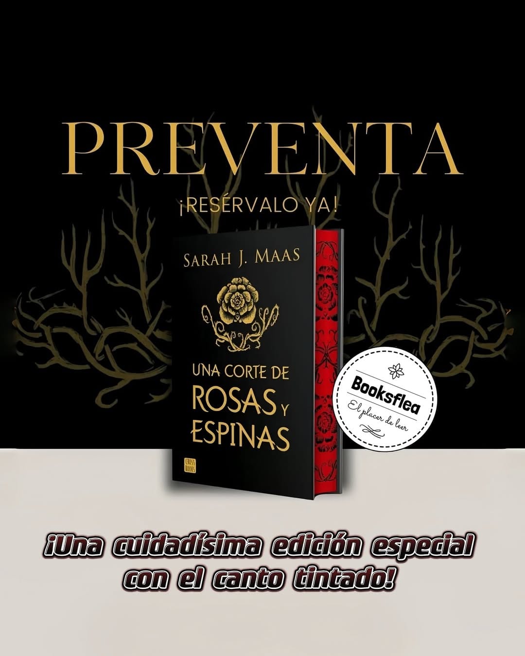 Post 8 by Booksflea | Café Booksflea on Instagram (image)