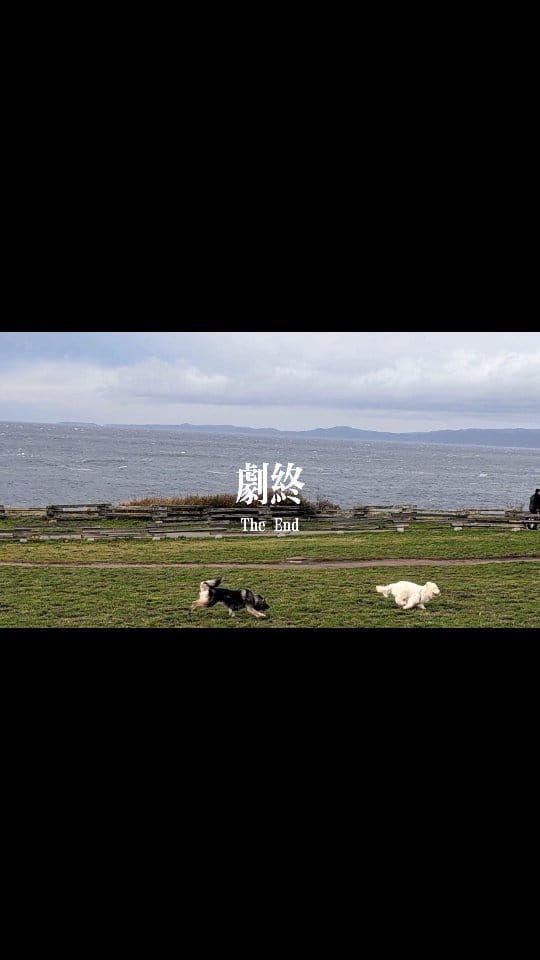 Post 1 by Lucas on Instagram (video)
