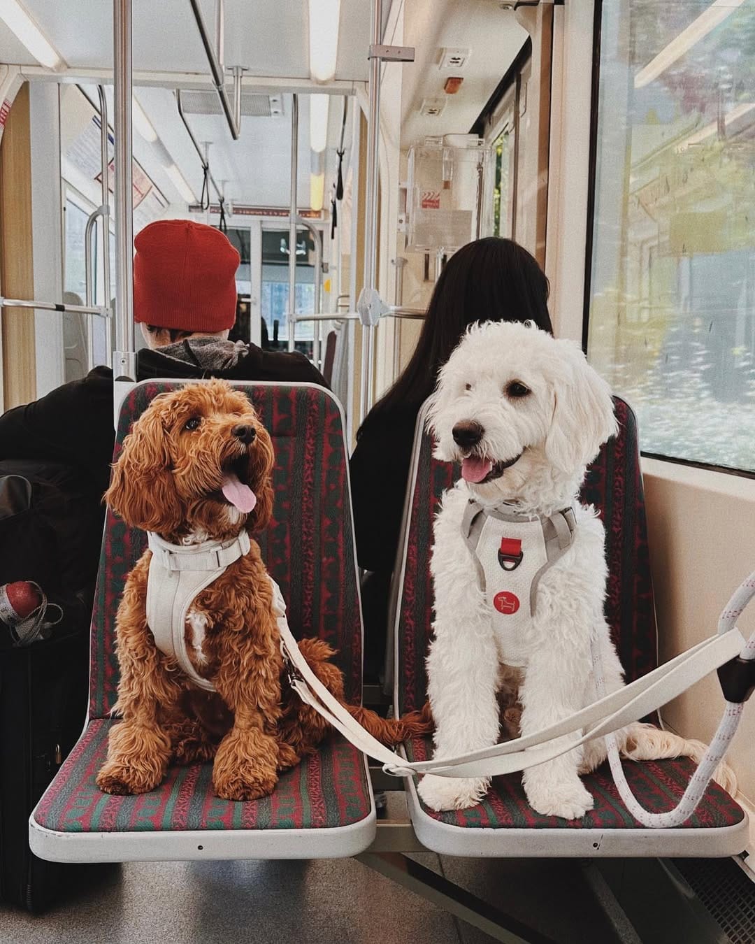 Post 4 by Lucas on Instagram (carousel)