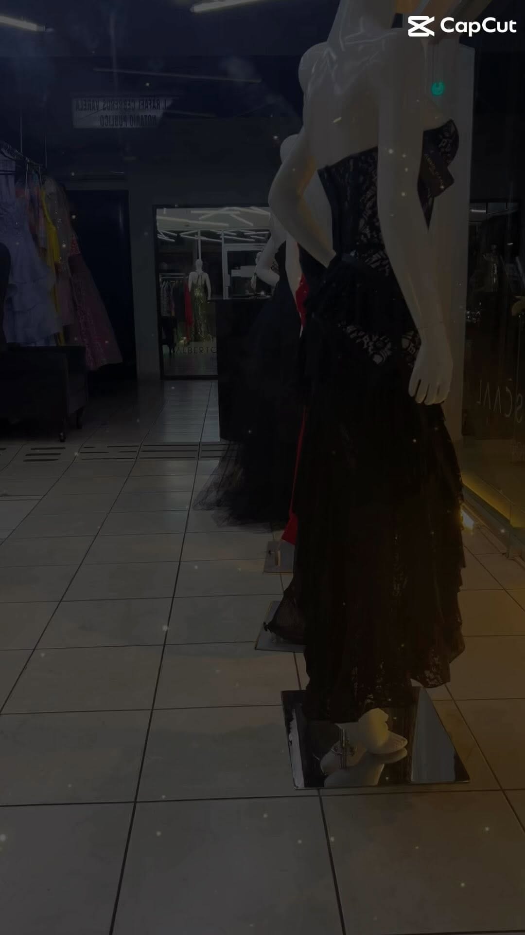 Post 1 by Alberto Scaal Leon on Instagram (video)