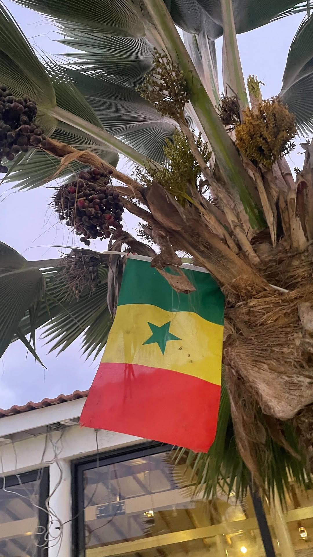 Post 7 by Domo The Explorer 🇭🇹 on Instagram (video)