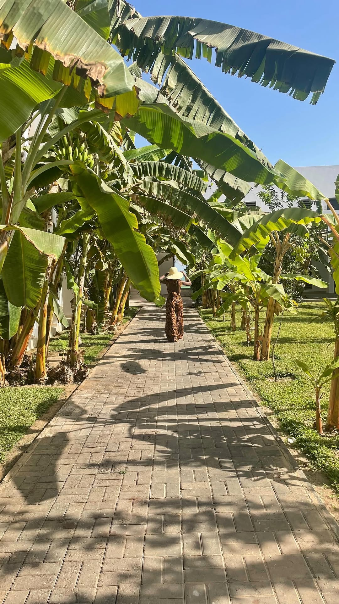 Post 6 by Domo The Explorer 🇭🇹 on Instagram (video)